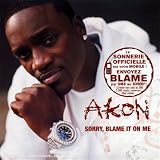 Sorry, Blame It on Me - Akon