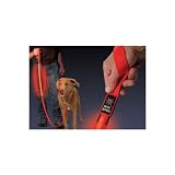 LED Lighted Nylon Safety Dog Leash by Nite Ize - Red