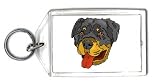 Keychain with dog, rottweiler, pet