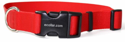 Educator Nylon Quick Snap Collar, 1-Inch, Red