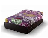 Delano Full Bed - Chocolate