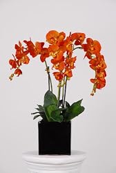 Artificial Triple-stem Phalaenopsis Orchid Arrangement Paprika Orange