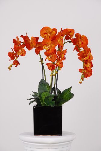 Artificial Triple-stem Phalaenopsis Orchid Arrangement Paprika Orange