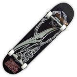 Birdhouse Hawk Pterodactyl Complete Skateboard (7.50)
