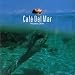 Search : Café del Mar, Vol. 8