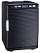 アピックス ポータブル保冷庫(ブラック) ACW-610-BK