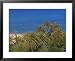 Aerial View of Vai Beach and Palm Trees, Eastern Crete, Island of Crete, Greece Place...