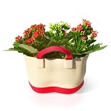 Flower Tote - Kalanchoe Plants in Cute Tote-Shaped Pot!