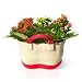 Flower Tote- Kalanchoe