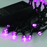 from Festive Lights 20 Pink Led Indoor Battery Operated Fairy Lights
