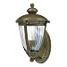 Westinghouse 69549 Takona Park One-Light Exterior Wall Lantern, Florentine Bronze with Clear Crystal Ribbed Globe