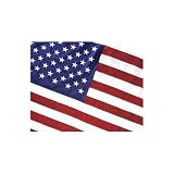 Valley Forge Brand American Flag - 4x6ft Cotton