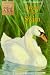 Swan in the Swim (Animal Ark 23) Thumbnail