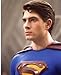 Search : Brandon Routh Superman Returns 16x20 Photo