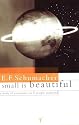 Small is Beautiful: A Study of Economics as if People Mattered