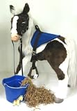 Childrens Gift Bucket - Butterscotch S'mores Pony Saddle set - Blue!
