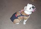 Joybies Durable Denim Piddle Pants(tm) for Small Male Dog (Measuring 13-15 from Collar to Base of Tail)