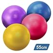 YogaAccessories (TM) 55 cm Yoga Balance Ball with Pump YogaAccessories (TM) 55 cm Yoga Balance Ball with Pump