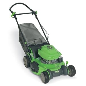 Lawn Boy 10683 Insight Series 21-Inch 6.5 HP Gas Powered Push Lawn Mower