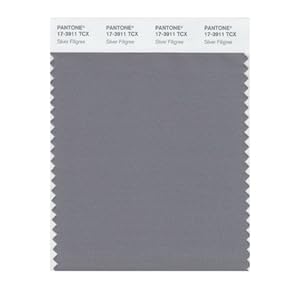 Silver Pantone Color