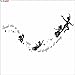 Peter Pan Second Star to The Right Wall Sticker Nursery Kids Bedroom Vinyl Decal