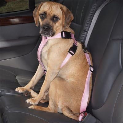 Cruising Companion Nylon Dog Car Harness, X-Large Black