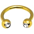 16 Gauge 5/16" Gold Titanium Horseshoe Circular Barbell