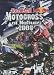 Motocross of Nations 2008