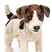 terrier27 - Plush Jack Russell Terrier