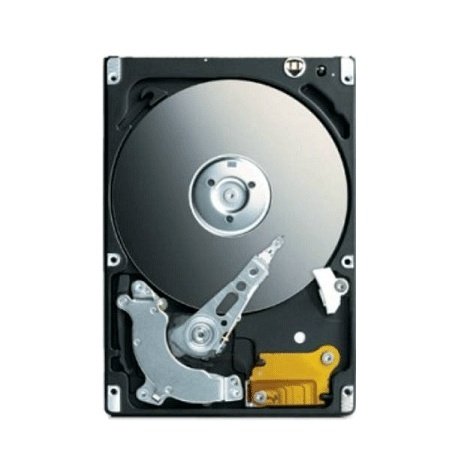 Seagate ST9250317AS Momentus 5400 FDE Festplatte 250.0 GB S - ATAII / 300 8.0 MB