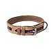 Hide & Drink, Rustic Mayan Dog Collar Handmade :: Tropical Purple Medium