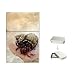 Limited Edition Flip-Top Cigarette Lighter Hermit Crab Beach