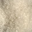 Organic New Zealand Sea Salt (Coarse) By ChefShop