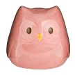 Circo Love & Nature Owl Bank - Pink