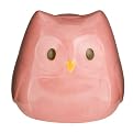 Circo Love & Nature Owl Bank - Pink