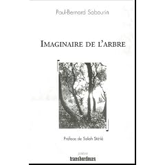 Imaginaire de l'arbre