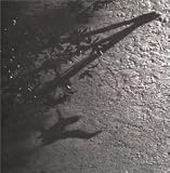 Revue Max Richter  / The Blue Notebooks