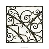 Iron Gate Ii - Poster by Megan Meagher (24 x 24)