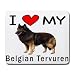 I Love My Belgian Tervuren