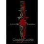 Dragonlance Chronicles Special Edition (Dragonlance Chronicles)
