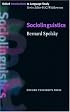 Sociolinguistics (Oxford Introductions to Language Study)