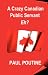 A Crazy Canadian Public Servant Eh?