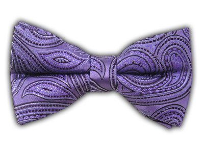 100% Silk Woven Lavender Inspire Paisley Self-Tie Bow Tie