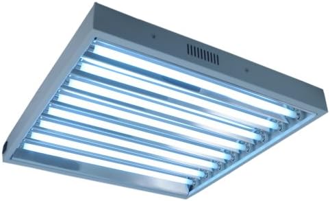 Standard T5 HO 2 Foot 8 Bulb Fixture with 6500K Bulbs