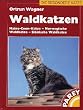 Norwegische Waldkatzen. Kauf, Haltung, Pflege