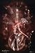 Gothic Fairy (White Orb Fairy) Art Poster Print - 24" X 36"