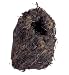 LARGE GRASS FINCH NEST 6