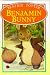Benjamin Bunny (Peter Rabbit & Friends Storybooks)