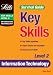 Book Key Skills Survival Guide (Key Skills Survival Guides)