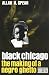 Black Chicago: The Making of a Negro Ghetto, 1890-1920